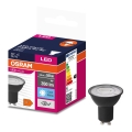 Lâmpada LED VALUE PAR16 GU10/4,5W/230V 6500K 36° preto - Ledvance