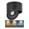 LED Flexível foco LED/28W/230V 3000/4000/6400K CRI 90 preto