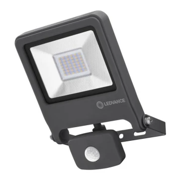 Ledvance - Holofote LED ENDURA com sensor LED/30W/230V IP44