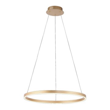 Leuchten Direkt 15394-60 - Candelabro suspenso LED com regulação RITUS LED/28W/230V latão