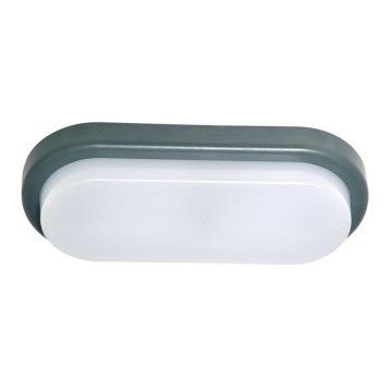 Luz de parede LED de exterior OVAL LED/18W/230V IP54