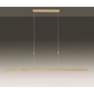 Paul Neuhaus 2568-60 - Candeeiro LED com regulação da luz num fio ADRIANA LED/14W/230V latão