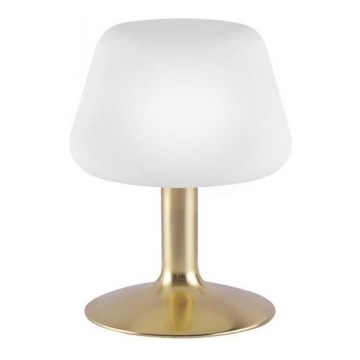 Paul Neuhaus 4078-60 - Candeeiro de mesa táctil LED com regulação TILL 1xG9/3W/230V latão