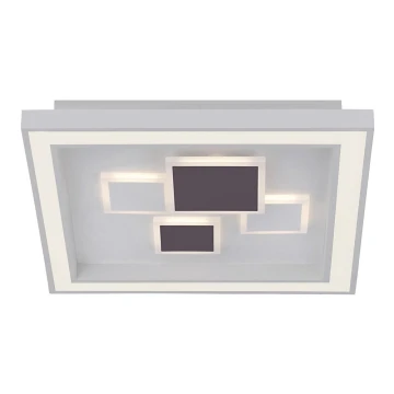 Paul Neuhaus 6283-16 - Luz de teto fosca LED ELIZA LED/30W/230V + LED/18,5W