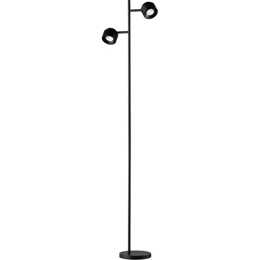 Paulmann 79775 - 2xLED/3W Candeeiro de chão com regulação PURIK PANE 230V