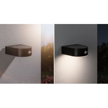 Paulmann 94570 - LED/5,5W IP44 Candeeiro de parede solar com sensor EILEEN 3,7V