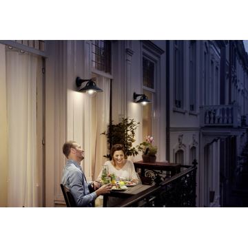 Philips 17381/30/PN - Luz de parede exterior COMORANT 1xE27/42W/230V IP44