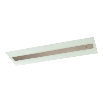 Philips Massive 85115/14/31 - Ceiling attached iluminação DECOLINE 2xG5/14W/230V