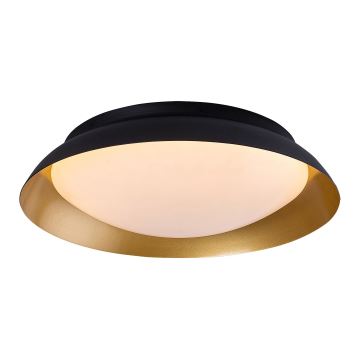 Rabalux - Iluminação de teto LED LED/20W/230V 3000K diâmetro 30 cm