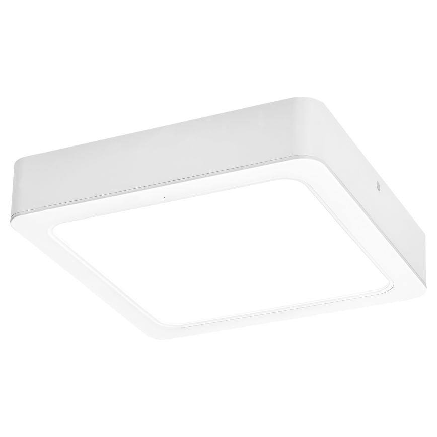 Rabalux - Iluminação de teto LED LED/7W/230V 4000K 12x12 cm branco