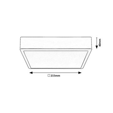 Rabalux - Iluminação de teto LED LED/22W/230V 3000/4000/6000K 21x21 cm branco