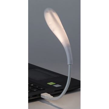 Rabalux - Candeeiro pequeno LED USB flexível LED/2W/5V