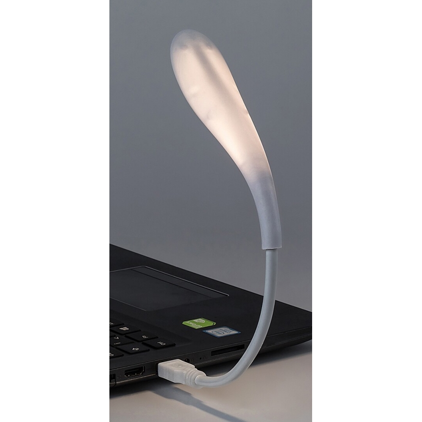 Rabalux - Candeeiro pequeno LED USB flexível LED/2W/5V