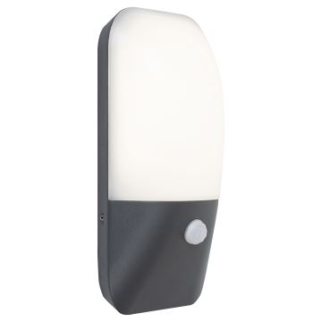 Rabalux - Luz de parede LED de exterior com sensor LED/11W/230V IP54 4000K