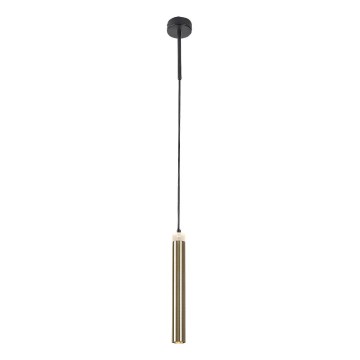 Rabalux - Candeeiro suspenso LED LED/10W/230V 4000K preto/dourado