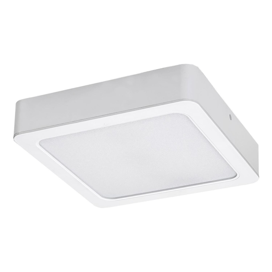 Rabalux - Iluminação de teto LED LED/15W/230V 3000K 16x16 cm branco