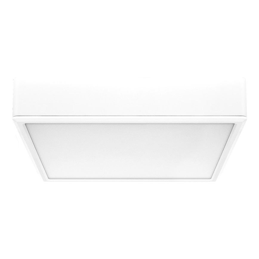 Rabalux - Iluminação de teto LED LED/22W/230V 3000/4000/6000K 21x21 cm branco