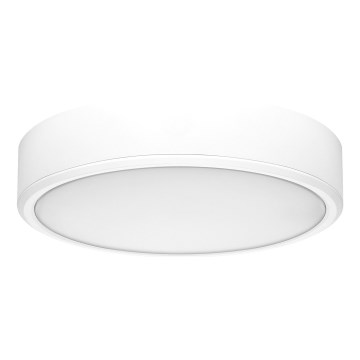 Rabalux - Iluminação de teto LED LED/22W/230V 3000/4000/6000K diâmetro 21 cm branco