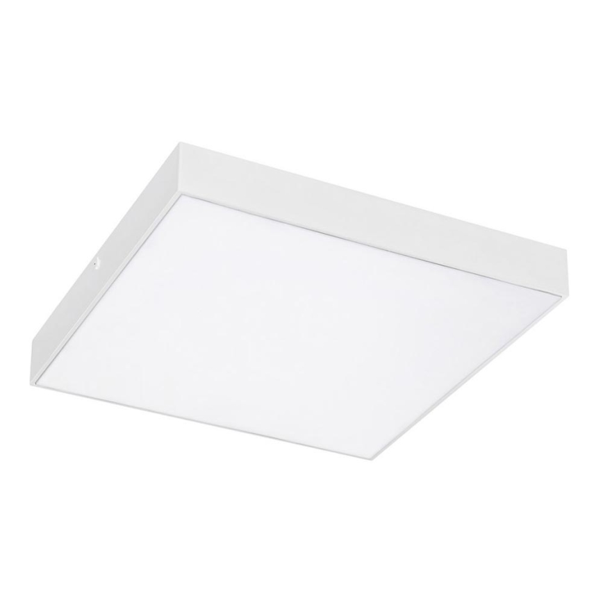 Rabalux - Iluminação de teto LED LED/24W/230V 3000-6000K IP44 branca