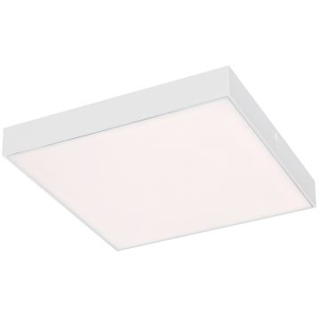 Rabalux - Iluminação de teto LED LED/24W/230V 3000-6000K IP44 branca