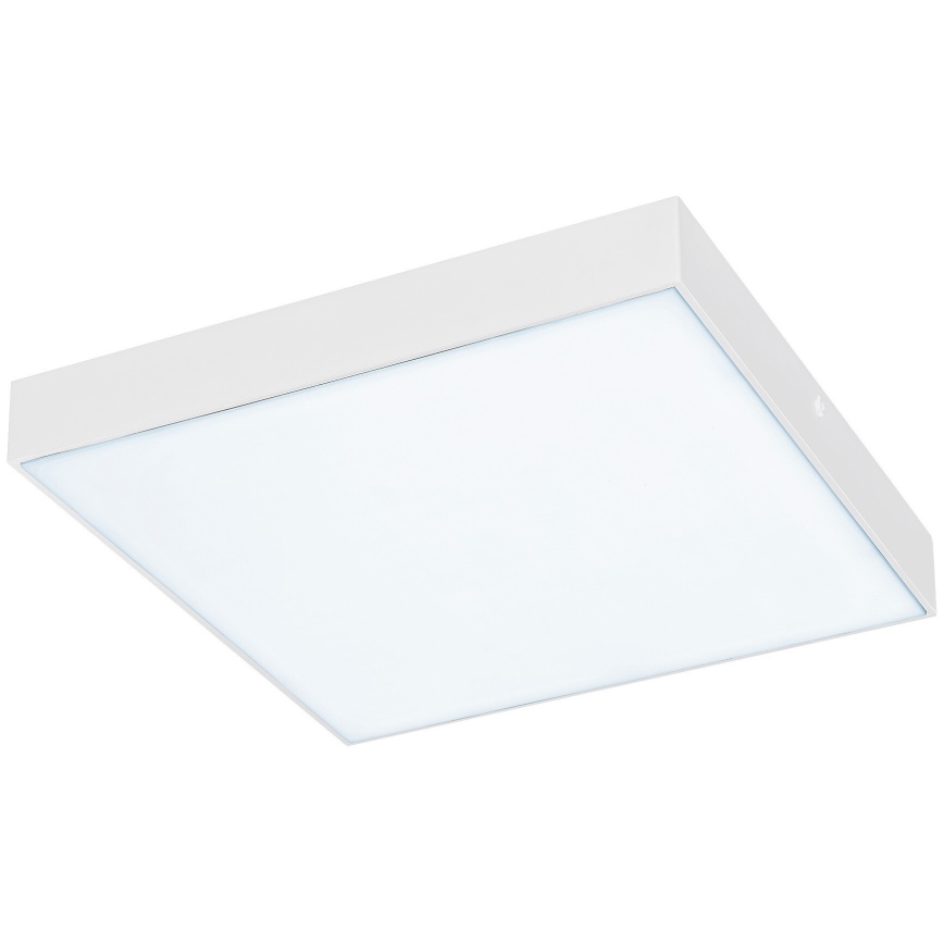 Rabalux - Iluminação de teto LED LED/24W/230V 3000-6000K IP44 branca