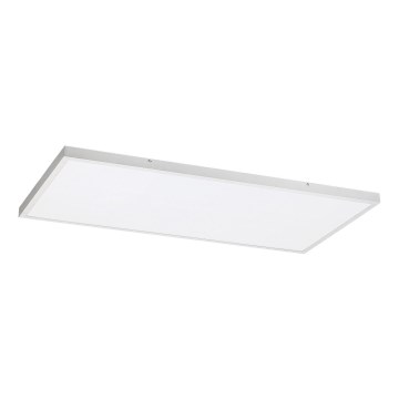 Rabalux - Painel integrado LED LED/80W/230V 4000K 120x60 cm