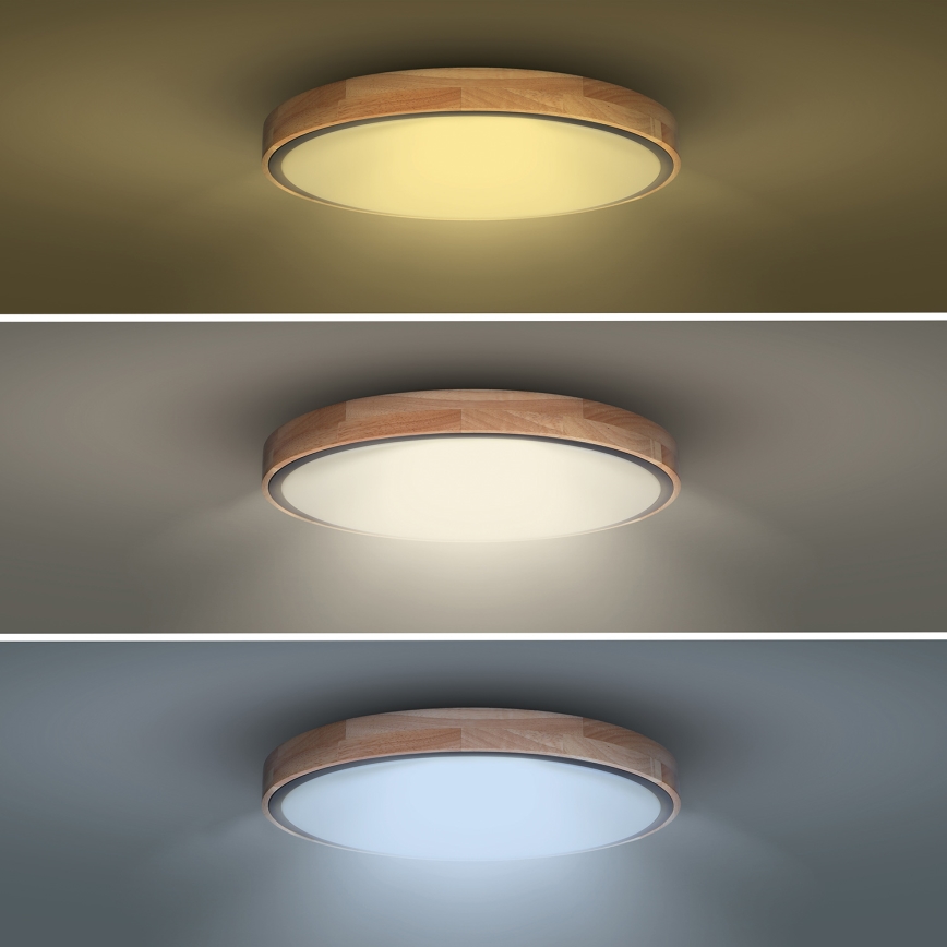 Iluminação de teto LED com regulação IRON OAK LED/48W/230V 3000-6500K carvalho diâmetro 40 cm + comando