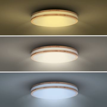 Iluminação de teto LED com regulação WOODY LED/48W/230V 3000-6500K carvalho diâmetro 38 cm + comando