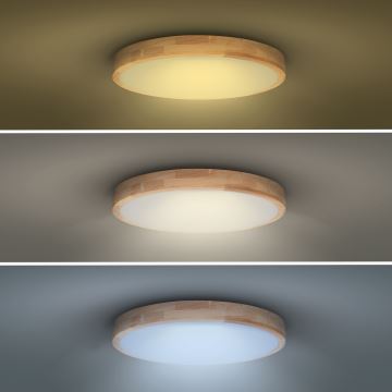 Iluminação de teto LED com regulação SOLID OAK LED/60W/230V 3000-6500K carvalho diâmetro 51 cm + comando