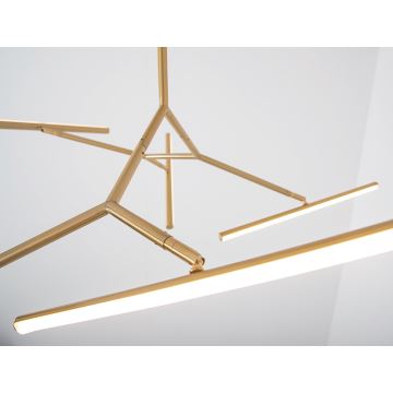 Zambelis 2071 - Candelabro suspenso LED com regulação LED/49W/230V dourada