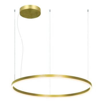 Zambelis 22240 - Candeeiro suspenso LED com regulação LED/57W/230V 3000K diâmetro 80 cm dourado