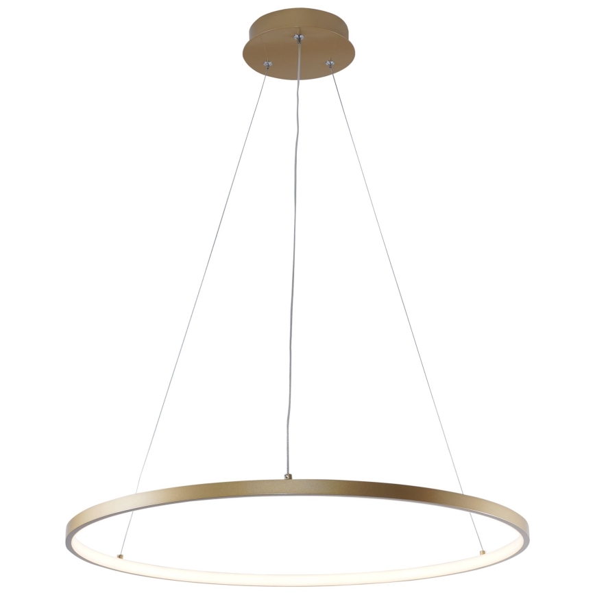 Zuma Line - Candeeiro suspenso LED LED/28W/230V 3000/4000/6000K diâmetro 60 cm dourado