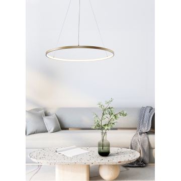 Zuma Line - Candeeiro suspenso LED LED/28W/230V 3000/4000/6000K diâmetro 60 cm dourado