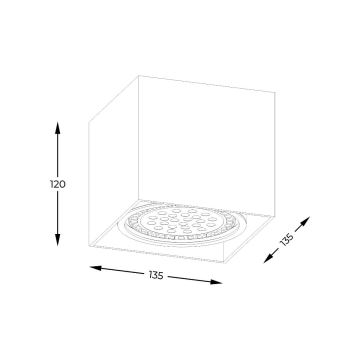 Zuma Line - Foco 1xGU10-ES111/15W/230V branco