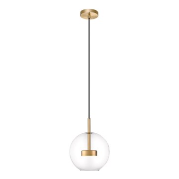 Zuma Line - Candeeiro suspenso LED LED/5W/230V dourado